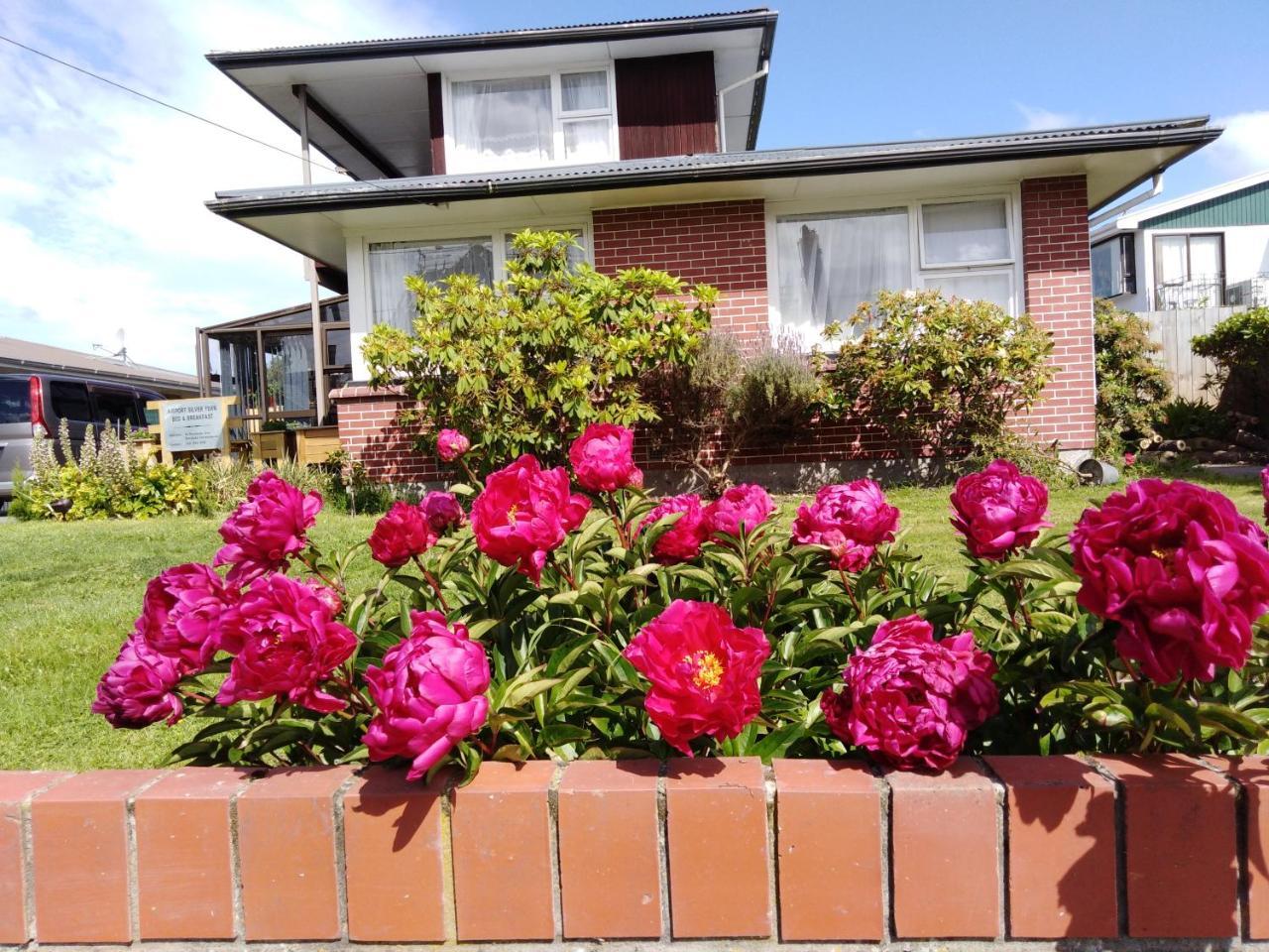 Airport Silver Fern Accommodation Christchurch Exterior foto
